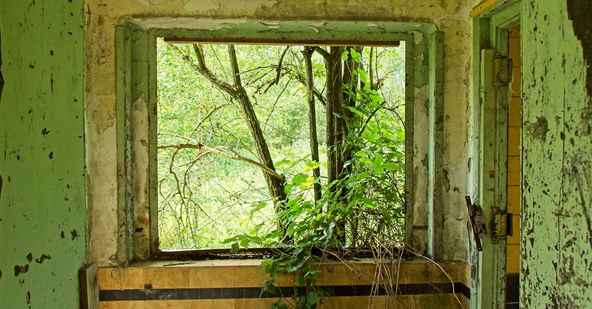 découvrez comment la transformation de l'espace redéfinit notre perception de l'environnement, alliant innovation technologique et durabilité pour créer des expériences uniques et immersives. explorez les tendances et les projets qui transforment nos espaces de vie et de travail.