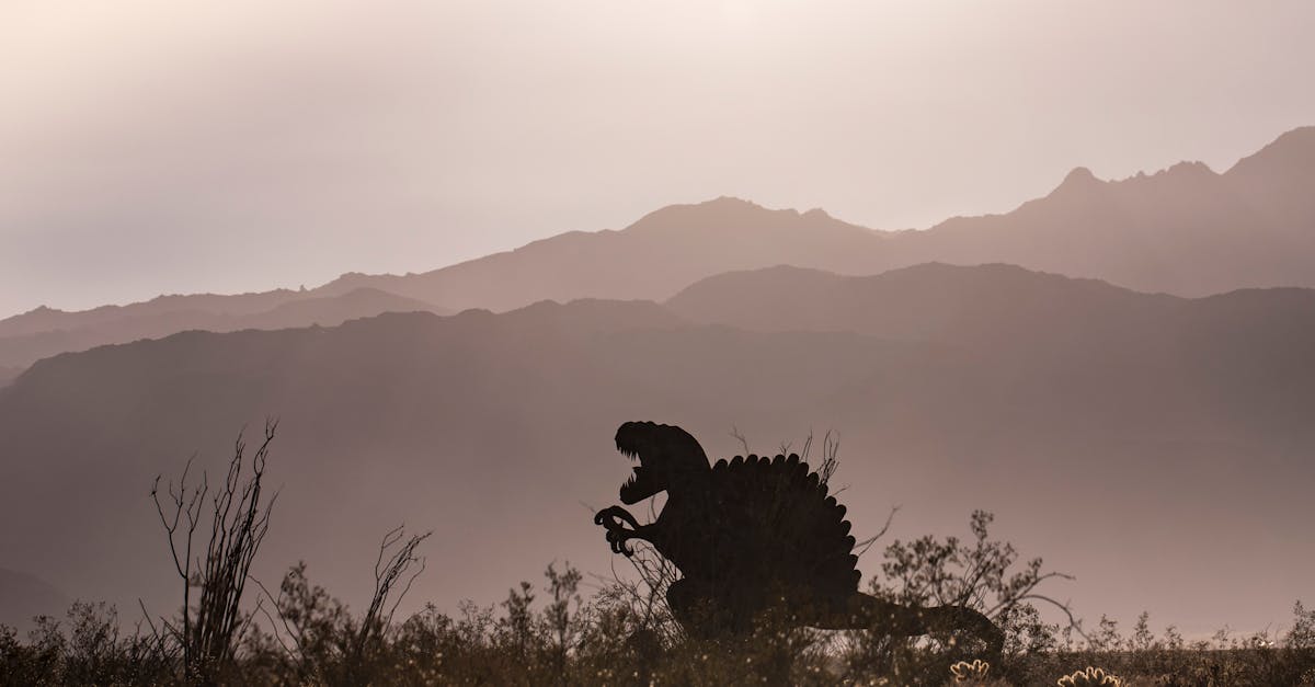 découvrez comment la transformation spatiale révolutionne notre compréhension de l'univers, alliant innovations technologiques et explorations scientifiques pour repousser les limites de l'humanité.