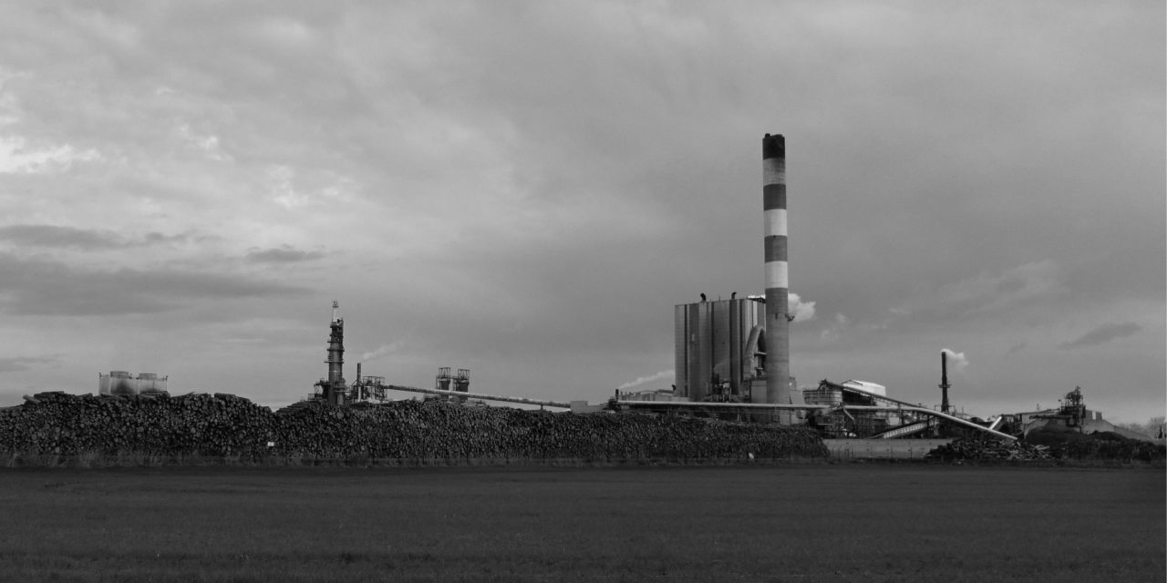 découvrez les riches liens culturels et historiques entre arles, tarascon, camargue et nîmes. plongez dans l'histoire fascinante de ces régions du sud de la france, entre patrimoine, traditions et paysages exceptionnels.