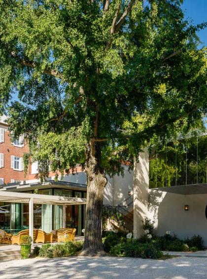 découvrez l'hôtel imperator à nîmes, un établissement emblématique alliant histoire et modernité. profitez d'un hébergement de charme au cœur de la ville, à proximité des célèbres monuments romains et des attractions locales. idéal pour un séjour d'affaires ou de loisirs, l'hôtel imperator vous offre tout le confort nécessaire pour un séjour inoubliable.