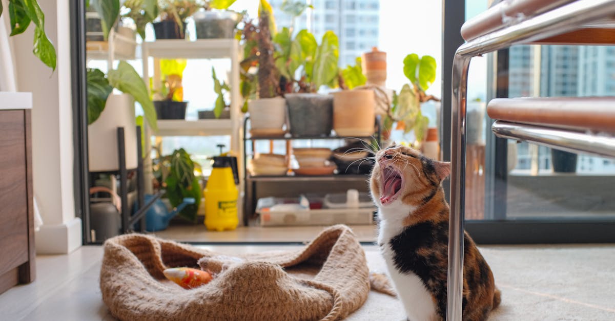 découvrez l'art du jardinage d'intérieur avec nos conseils et astuces pour créer un oasis de verdure chez vous. apprenez à cultiver des plantes d'intérieur, à optimiser l'éclairage et à choisir les meilleures espèces pour embellir votre espace de vie.