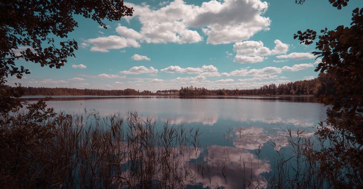 découvrez l'importance de la lumière naturelle dans nos espaces de vie. apprenez comment elle influence notre bien-être, améliore notre humeur et réduit notre consommation d'énergie. explorez des astuces pour maximiser l'éclairage naturel dans votre maison.