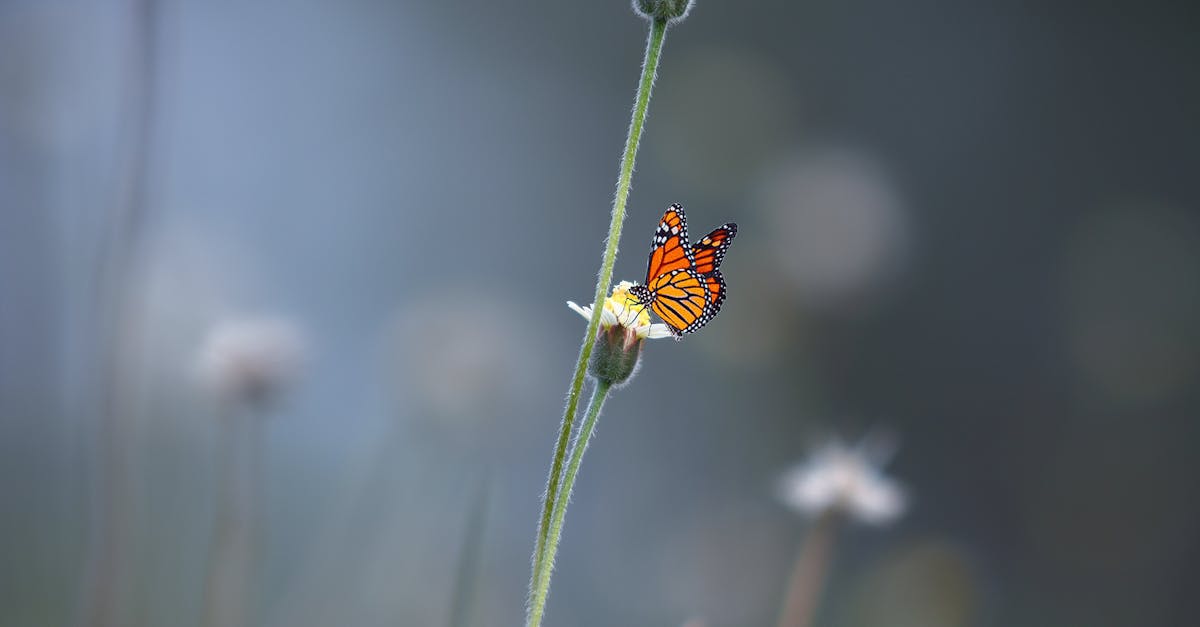 découvrez le processus de transformation, un voyage fascinant vers le changement et l'évolution, que ce soit au niveau personnel, professionnel ou technologique. explorez les méthodes et stratégies pour opérer des modifications significatives dans votre vie.