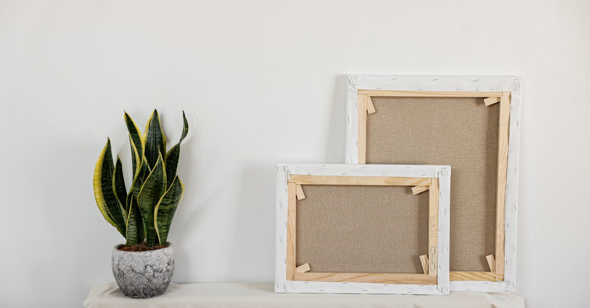 découvrez zen space, votre refuge de sérénité dédié à la détente et au bien-être. plongez dans un univers de calme avec des espaces conçus pour apaiser l'esprit et ressourcer le corps, que ce soit à travers des pratiques de méditation, des ateliers de mindfulness ou des sessions de yoga. rééquilibrez vos émotions et trouvez votre zen au cœur de notre havre paisible.