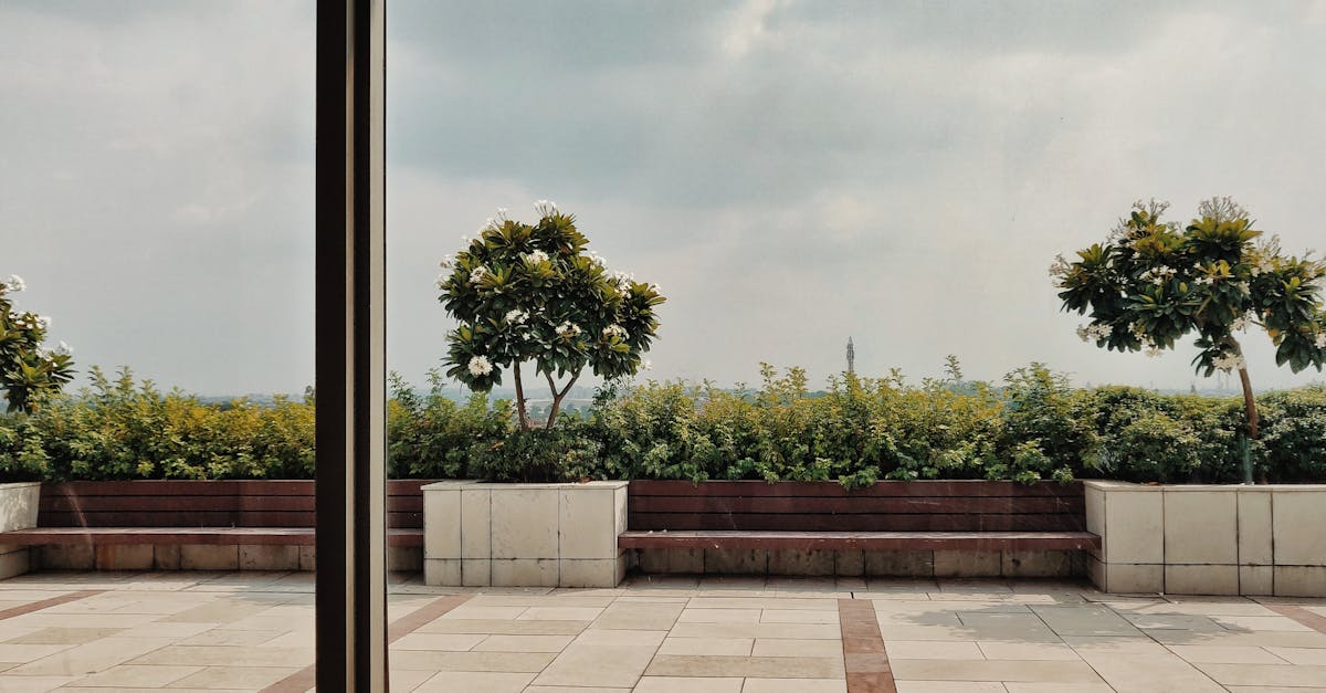 découvrez le design écologique, une approche innovante qui allie esthétique et durabilité. apprenez comment créer des espaces respectueux de l'environnement tout en préservant le confort et la fonctionnalité. inspirez-vous des dernières tendances pour transformer votre intérieur de manière responsable.