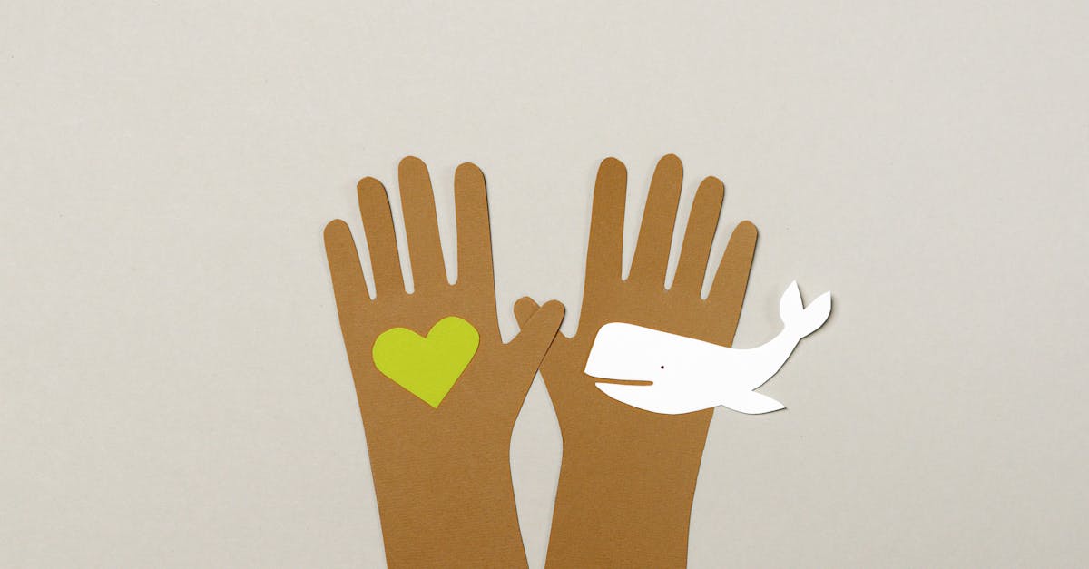 découvrez le design écologique, une approche innovante qui allie esthétique et respect de l'environnement. explorez des solutions durables pour créer des espaces harmonieux et responsables.