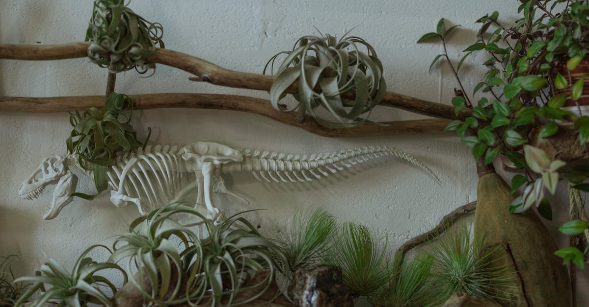 découvrez le design écologique, une approche innovante qui allie esthétisme et durabilité. explorez comment cette pratique respectueuse de l'environnement transforme les espaces de vie tout en minimisant l'impact écologique. inspirez-vous des tendances actuelles en matière de matériaux durables et de solutions créatives pour un avenir plus vert.