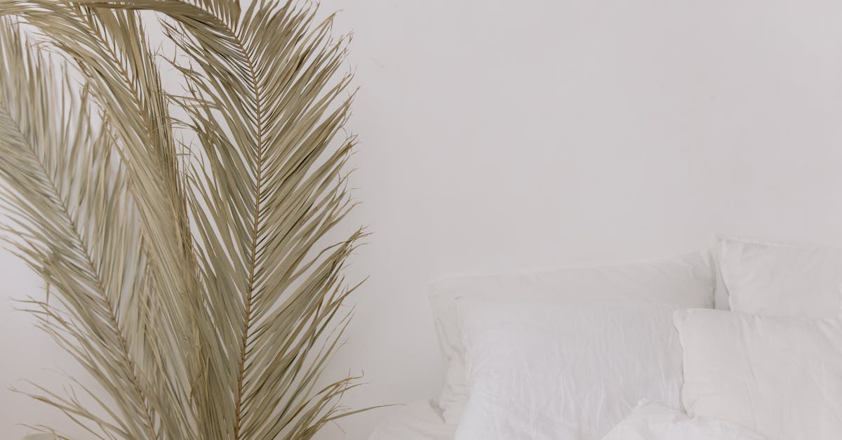 découvrez un espace de relaxation unique dédié à votre bien-être. évadez-vous du quotidien et laissez-vous bercer par une ambiance apaisante, idéale pour la méditation, le yoga ou simplement pour déconnecter et recharger vos batteries.