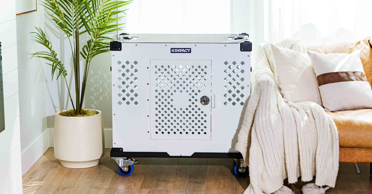 découvrez l'impact des meubles sur notre environnement et notre bien-être. explorez des solutions durables et des choix éclairés pour un intérieur qui allie style et respect de la planète.