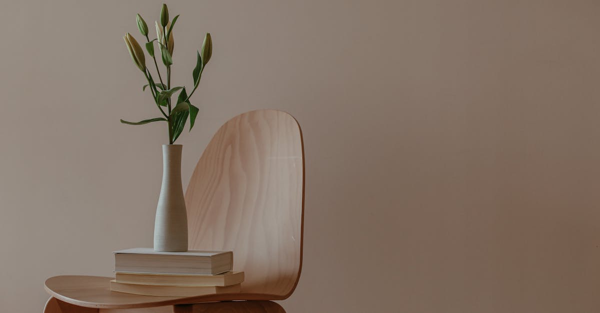 découvrez l'espace détente parfait avec notre guide sur le reading nook. transformez un coin de votre maison en un havre de paix pour la lecture, alliant confort, style et praticité. plongez dans votre livre préféré dans un environnement inspirant et chaleureux.