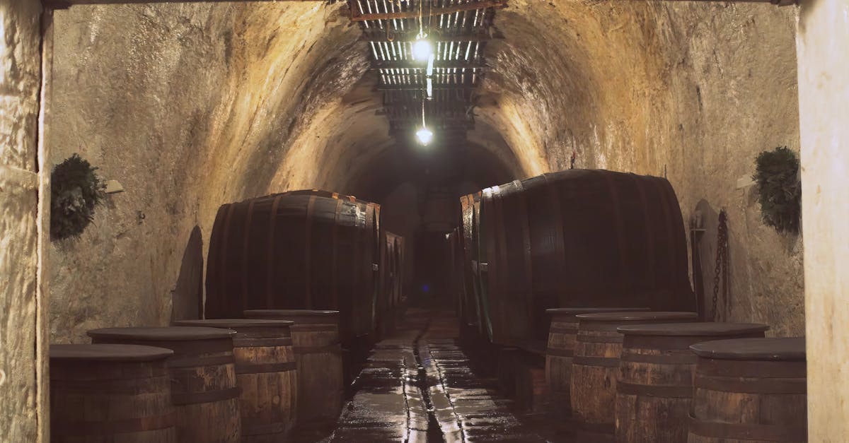 découvrez des stratégies efficaces d'optimisation de stockage pour maximiser l'espace, améliorer l'efficacité et réduire les coûts. apprenez à organiser vos espaces de rangement pour un accès facile et une gestion simplifiée.