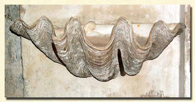 découvrez les dernières avancées de la reprise des travaux à la cathédrale de nîmes. suivez l'évolution de ce chantier emblématique qui redonne vie à un monument historique et participe à la valorisation du patrimoine local.