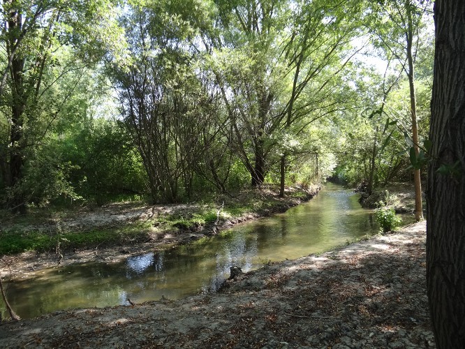 découvrez les projets de revitalisation à nîmes : initiatives urbaines, rénovation du patrimoine, amélioration des espaces publics et dynamisation du centre-ville pour une ville plus attractive et moderne.